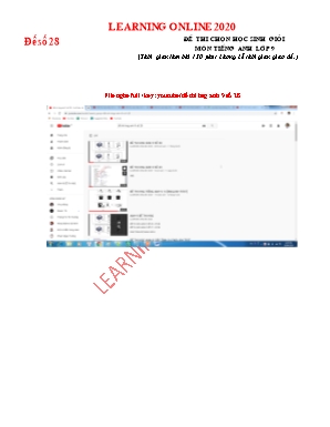 Đề thi chọn học sinh giỏi môn Tiếng Anh Lớp 9 - Đề số 28